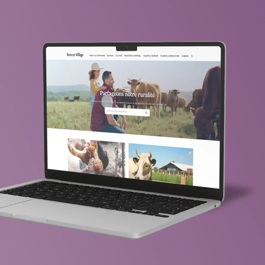 Mockup Terre & Village